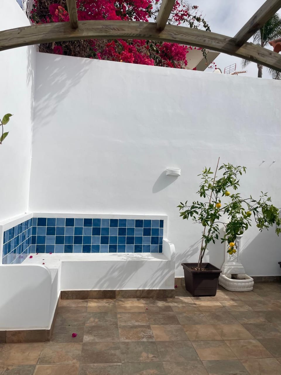 Patio, Garden, Garden view