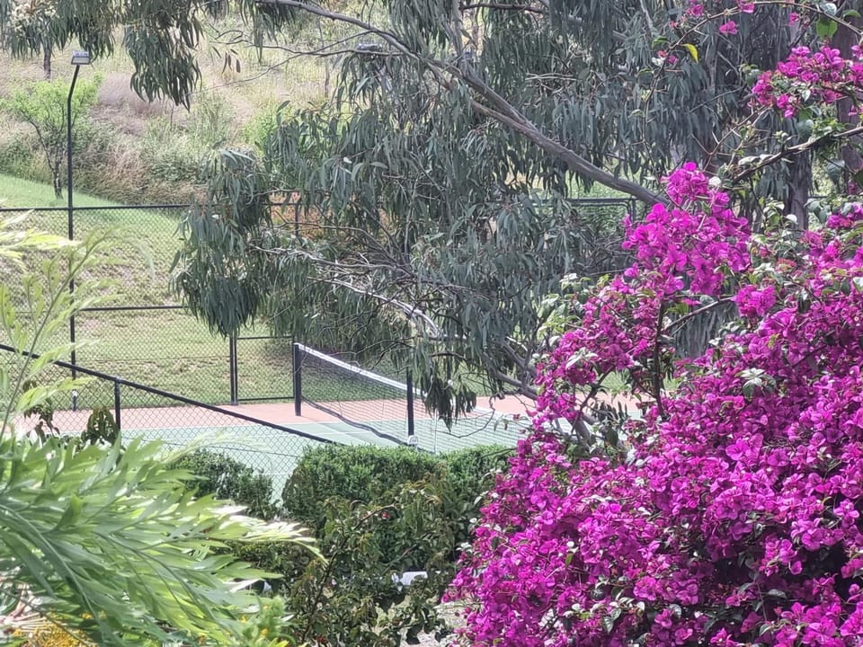 Tennis court