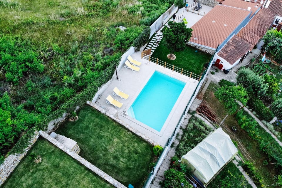 Garden, Swimming pool