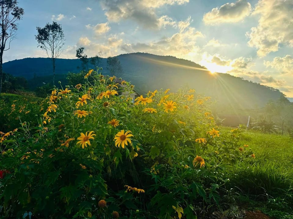 Day, Natural landscape, Sunrise