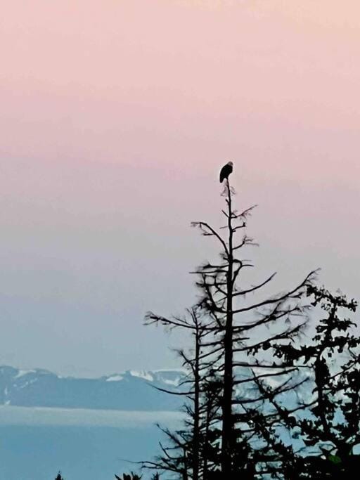 Olympic Views - Cozy Modern 2Br Suite Apartment in Langford