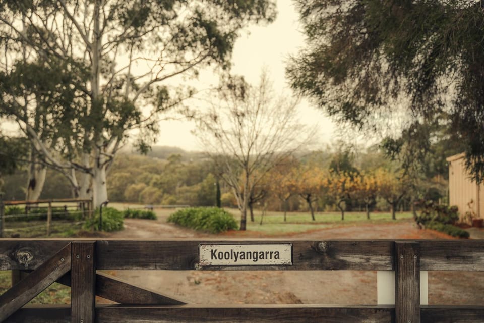 Natural landscape, Street view