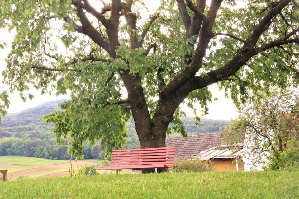 Ferienhaus Käfer Apartment in Styria