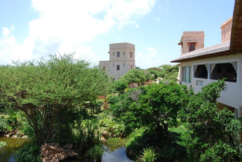 Property building, Garden, Garden view