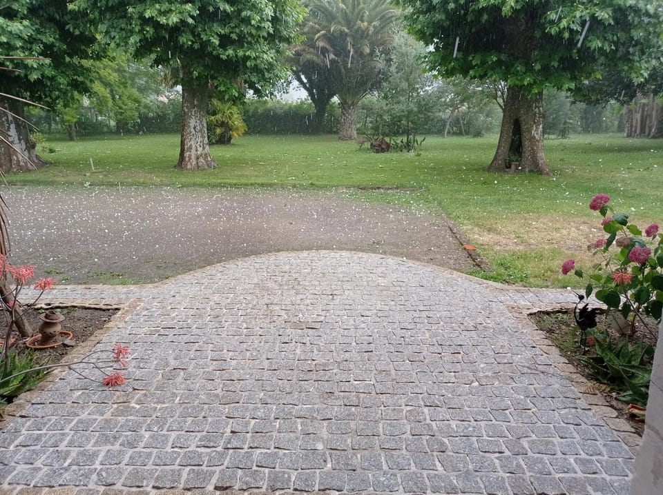 Garden, Parking