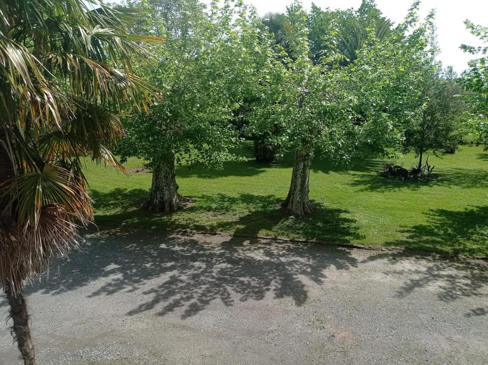 Garden, Garden view
