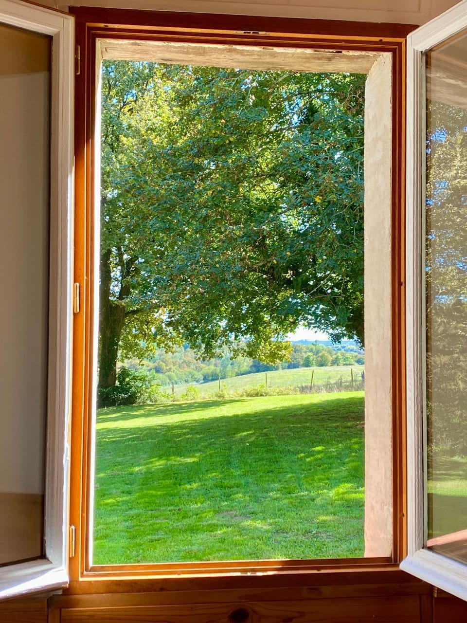 Natural landscape, Garden view