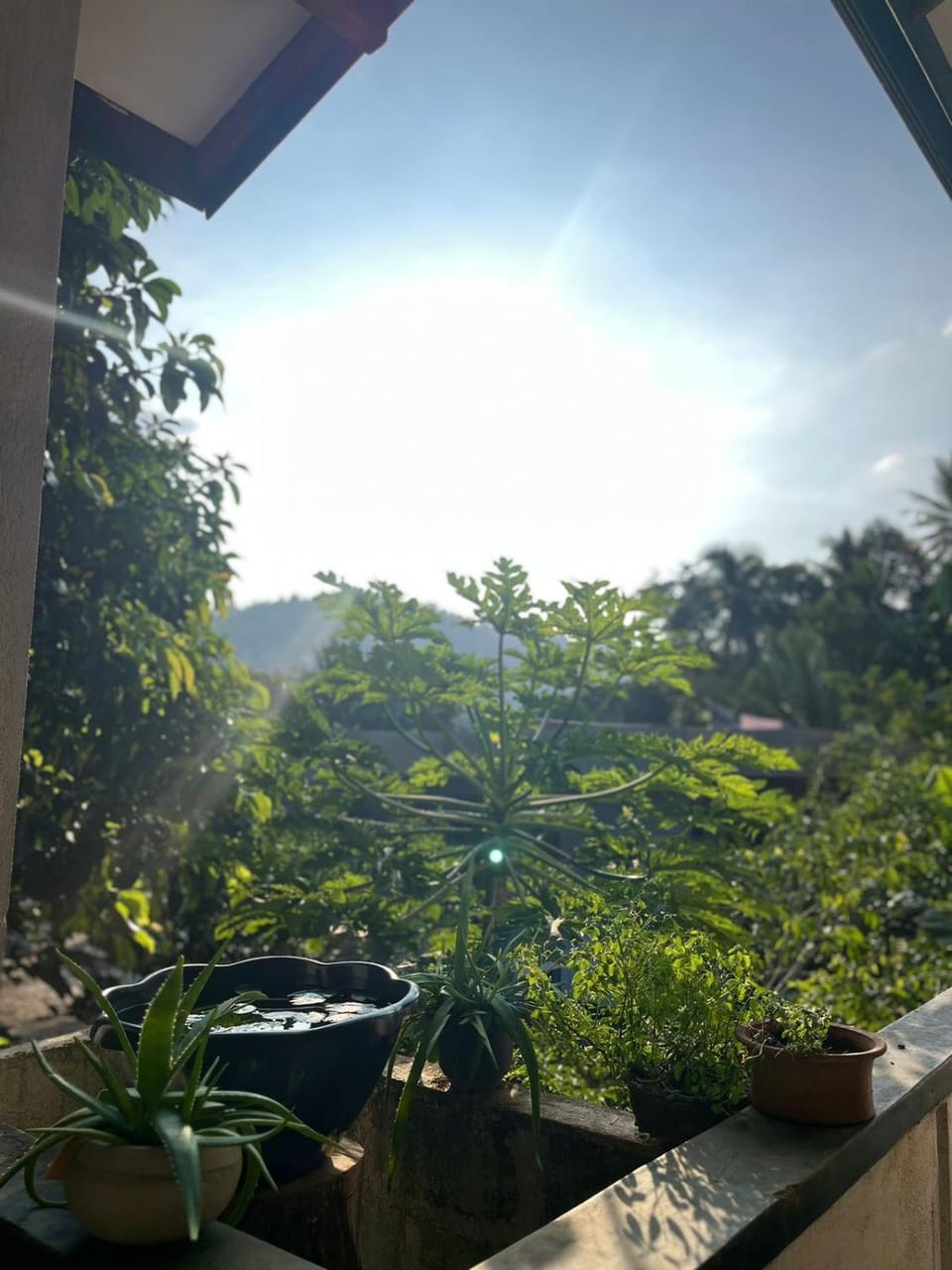 Day, Natural landscape, Garden view, Mountain view