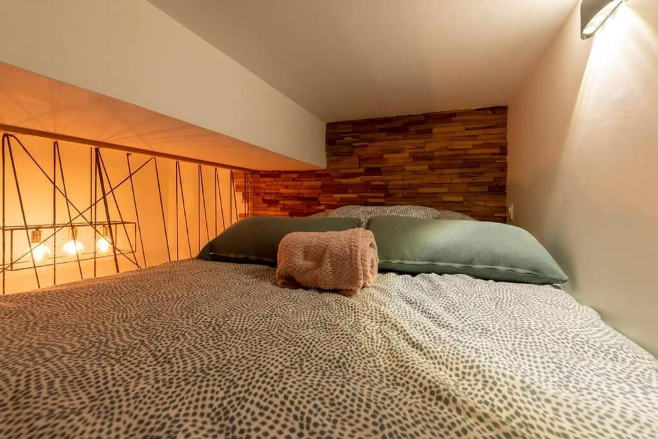 Dijon centre ville Design Le Terrot Apartment in Dijon