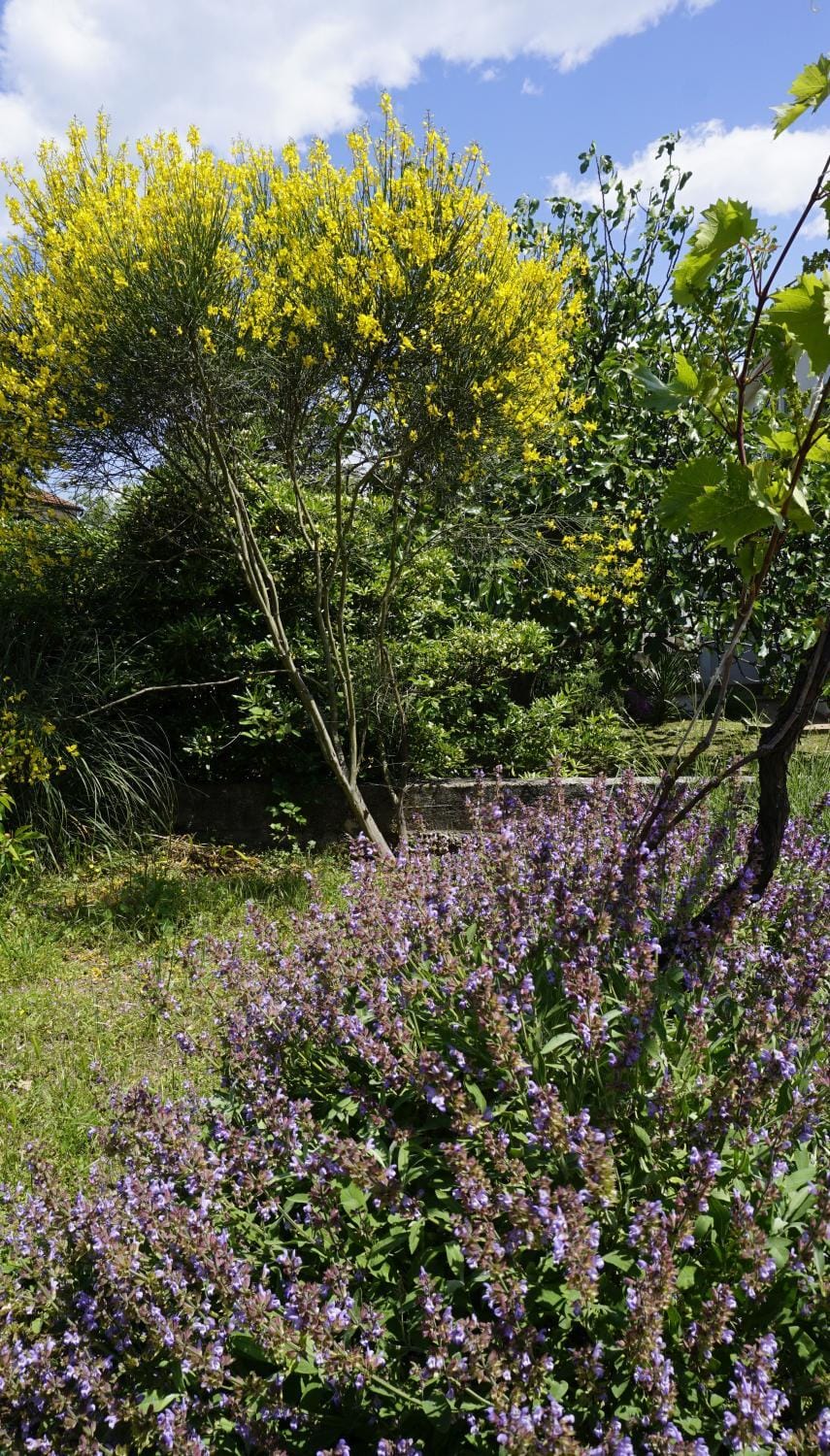 Property building, Spring, Garden, Garden view
