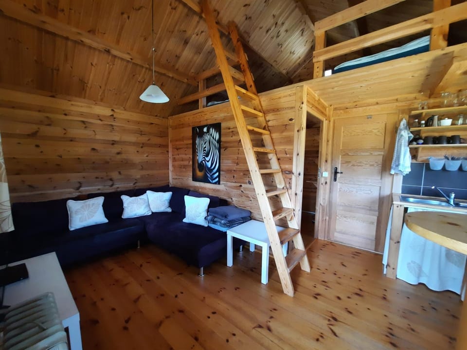 Zielony domek na Kaszubach House in Pomeranian Voivodeship