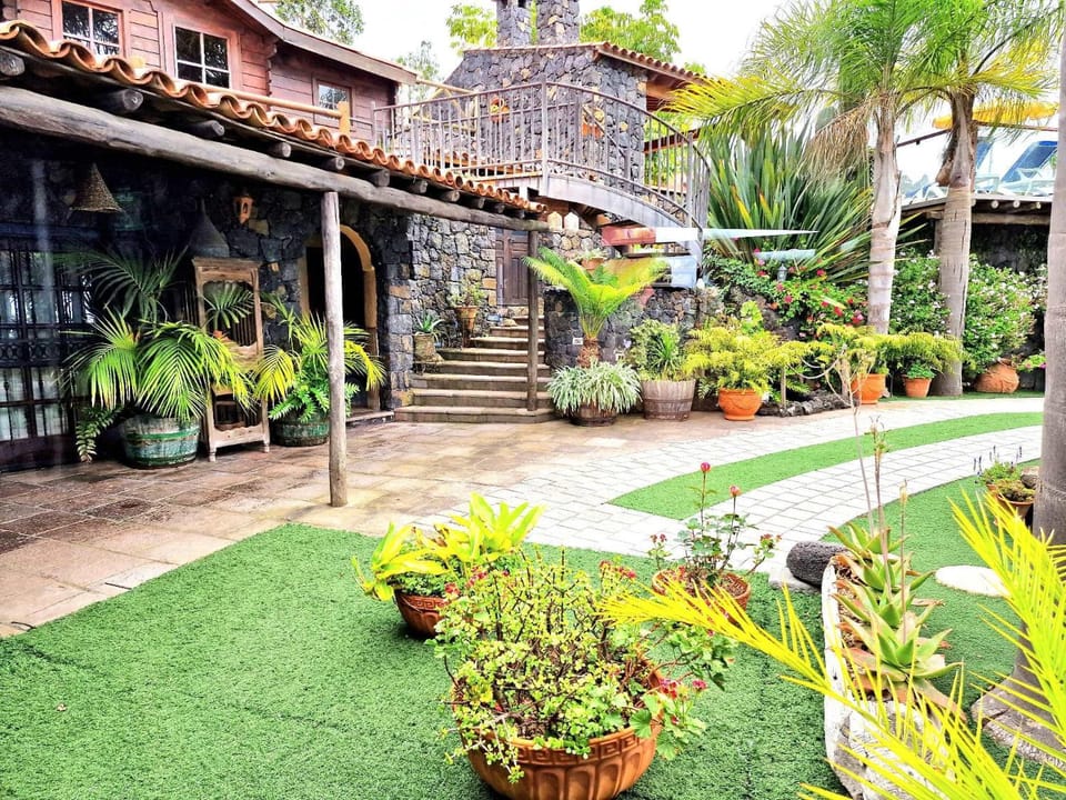 Property building, Garden, Garden, Garden view