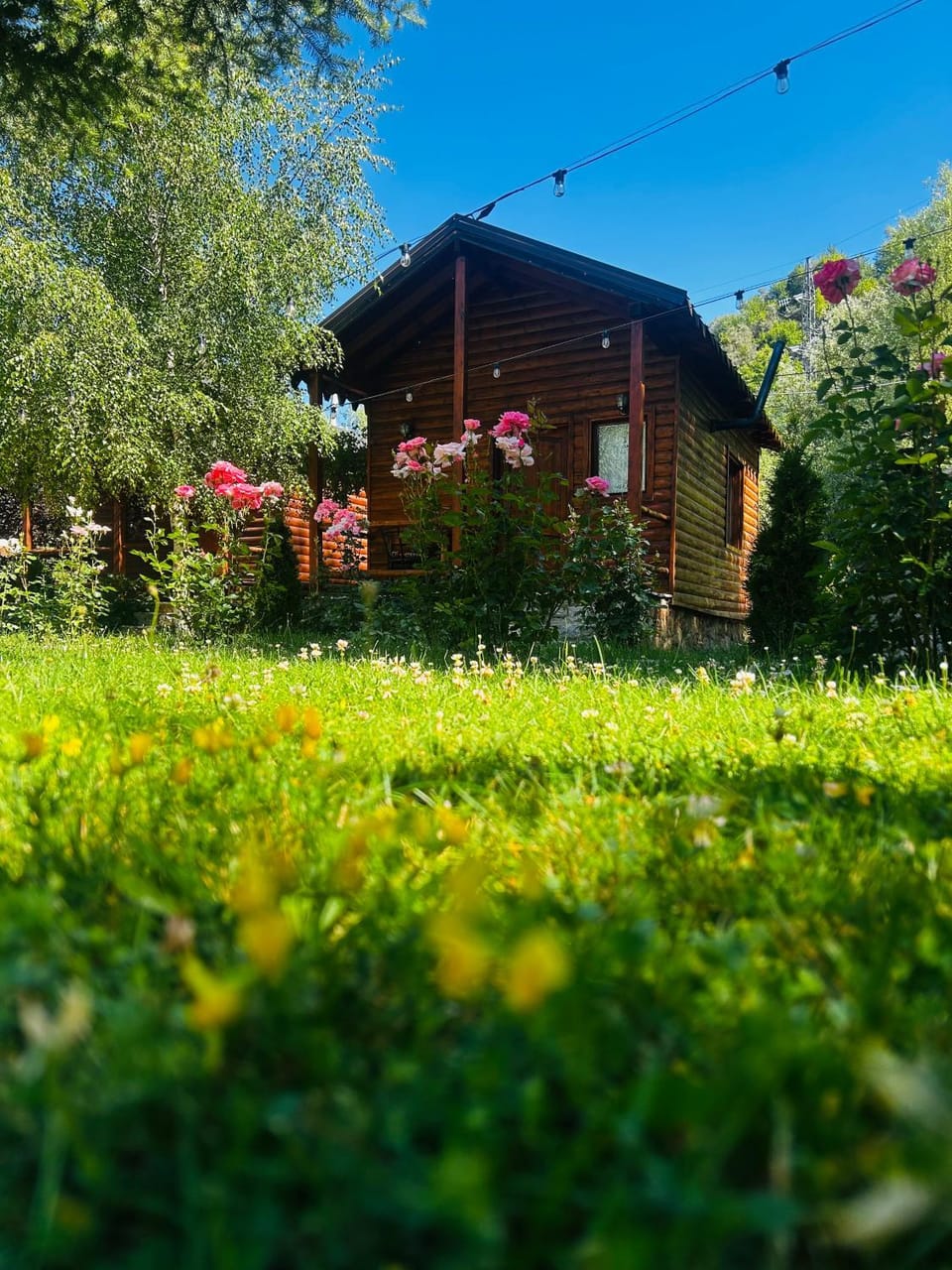 Gioia Resort Bed and Breakfast in North Macedonia