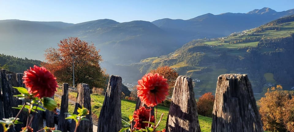 Moarhof Gufidaun Apartment in Villnöß
