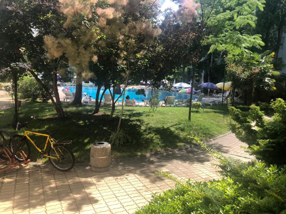 Day, Swimming pool, sunbed