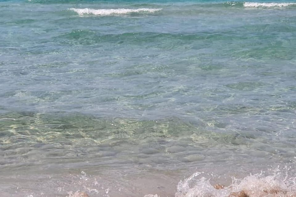 Natural landscape, Beach