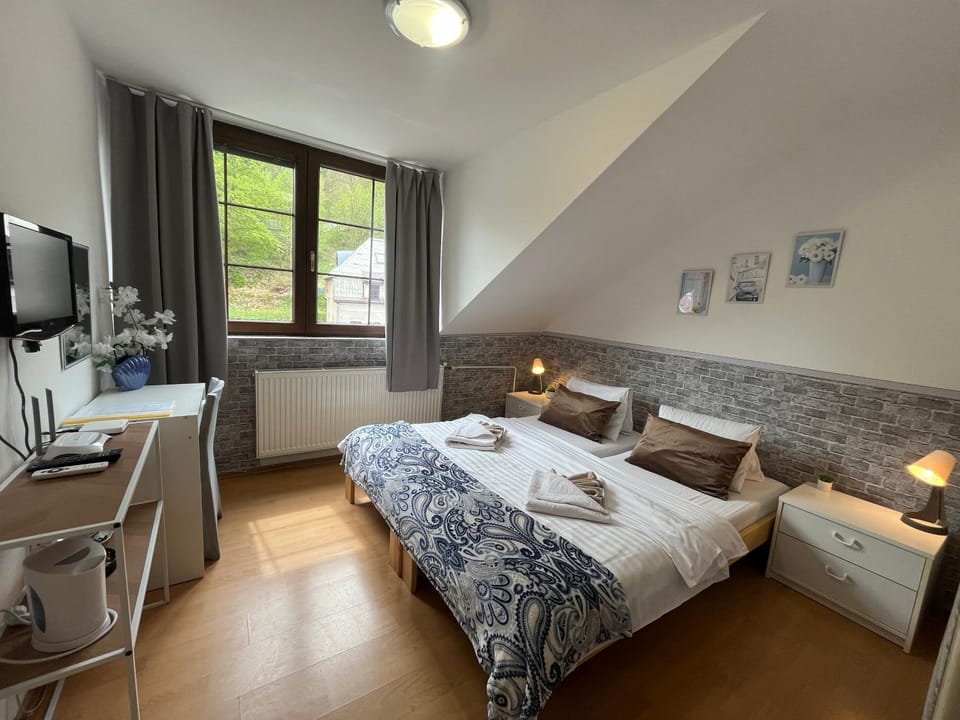 Penzion Jáchymov Pod Lanovkou Bed and Breakfast in Czechia