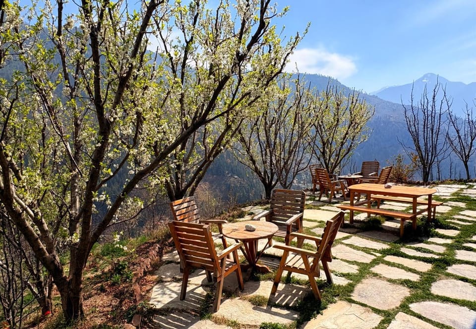 Spring, Day, Natural landscape, Dining area, Mountain view