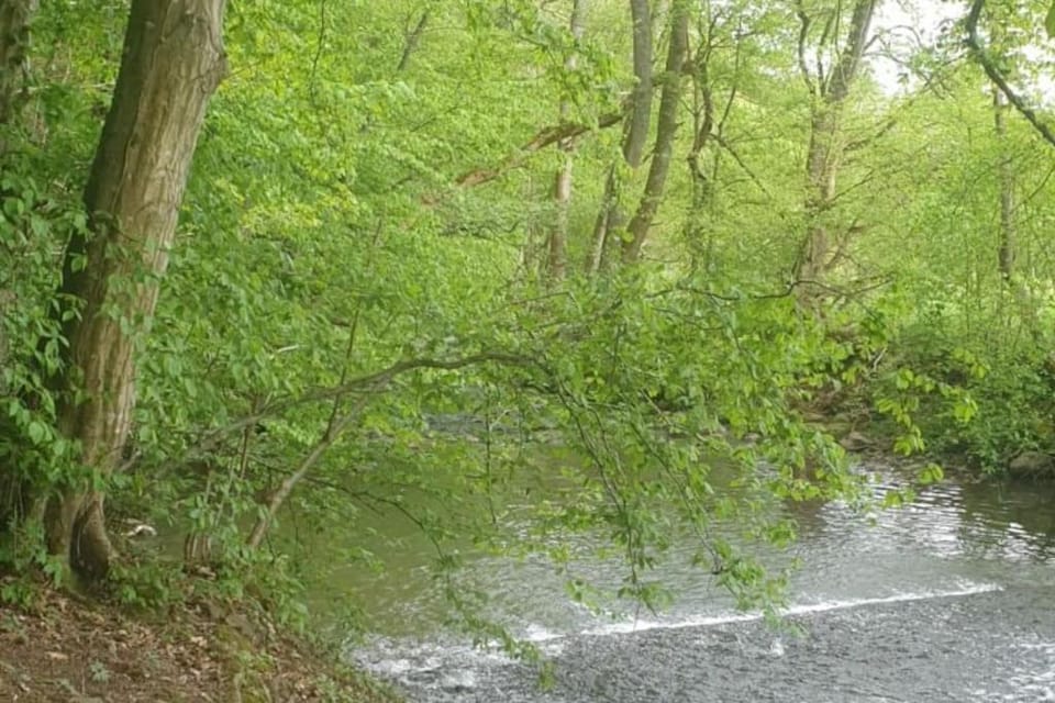 Natural landscape