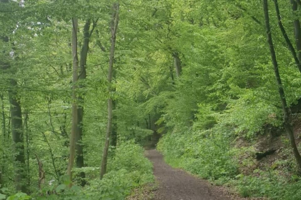 Natural landscape