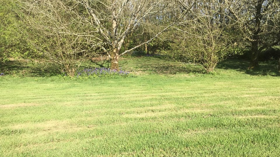 Garden, Garden view