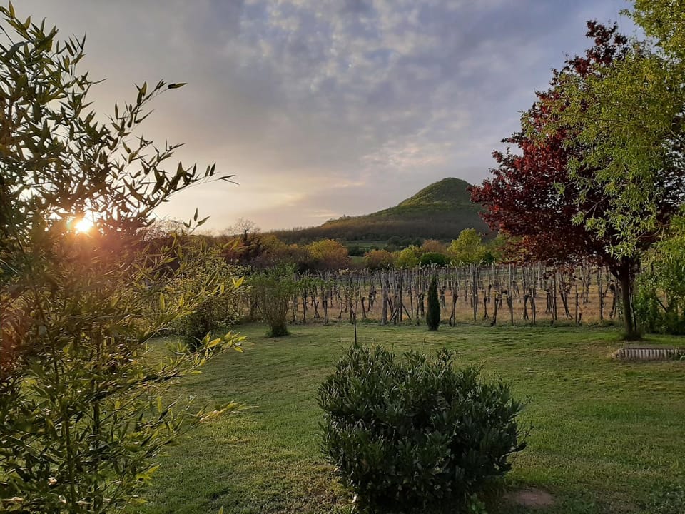 Garden, Sunset