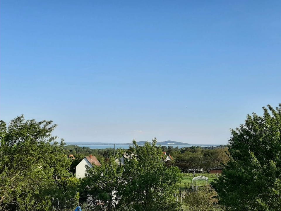 Lake view