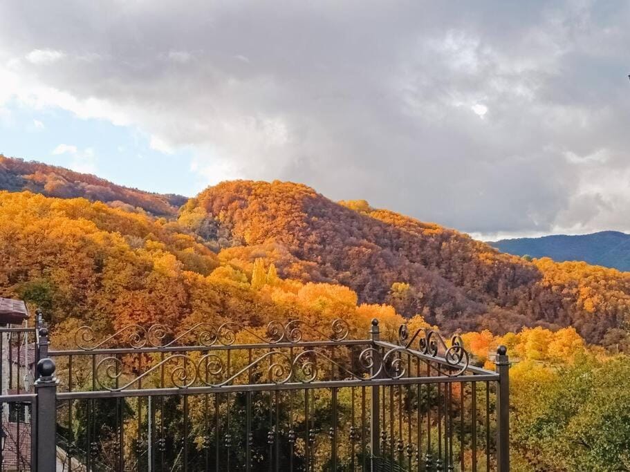 Autumn, Mountain view