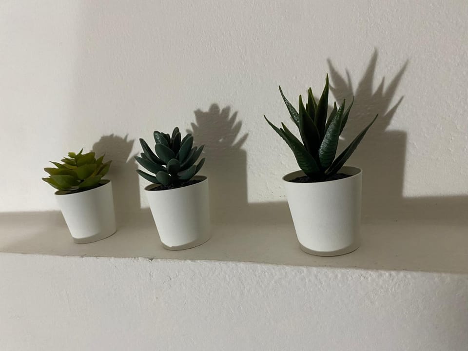 Il Profumo dei Tigli Apartment in Imola