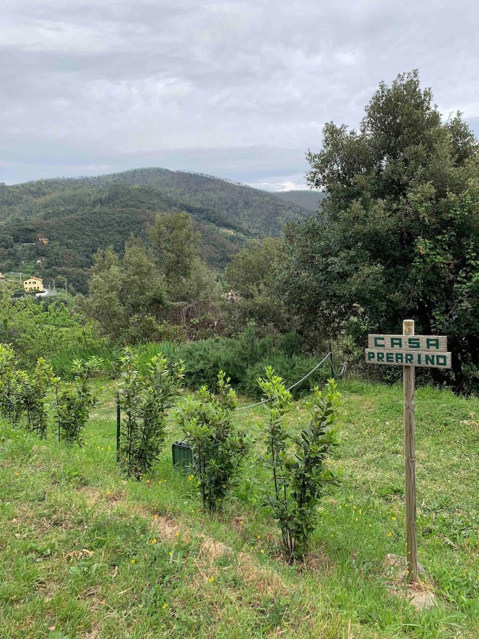 Day, Natural landscape, Parking