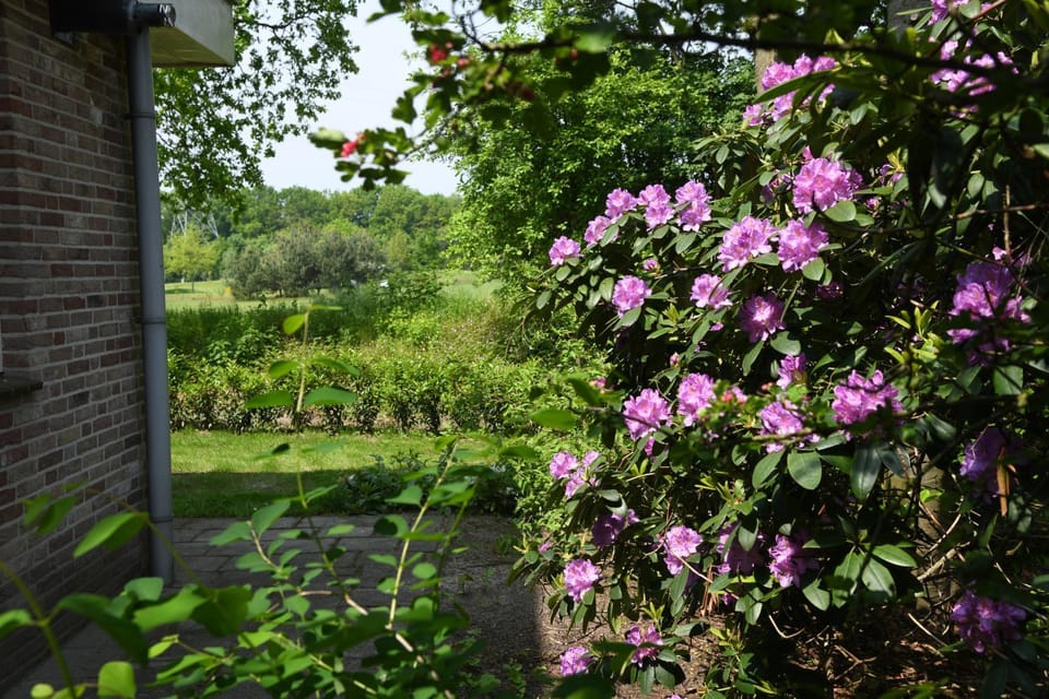 Garden, Garden, Garden view
