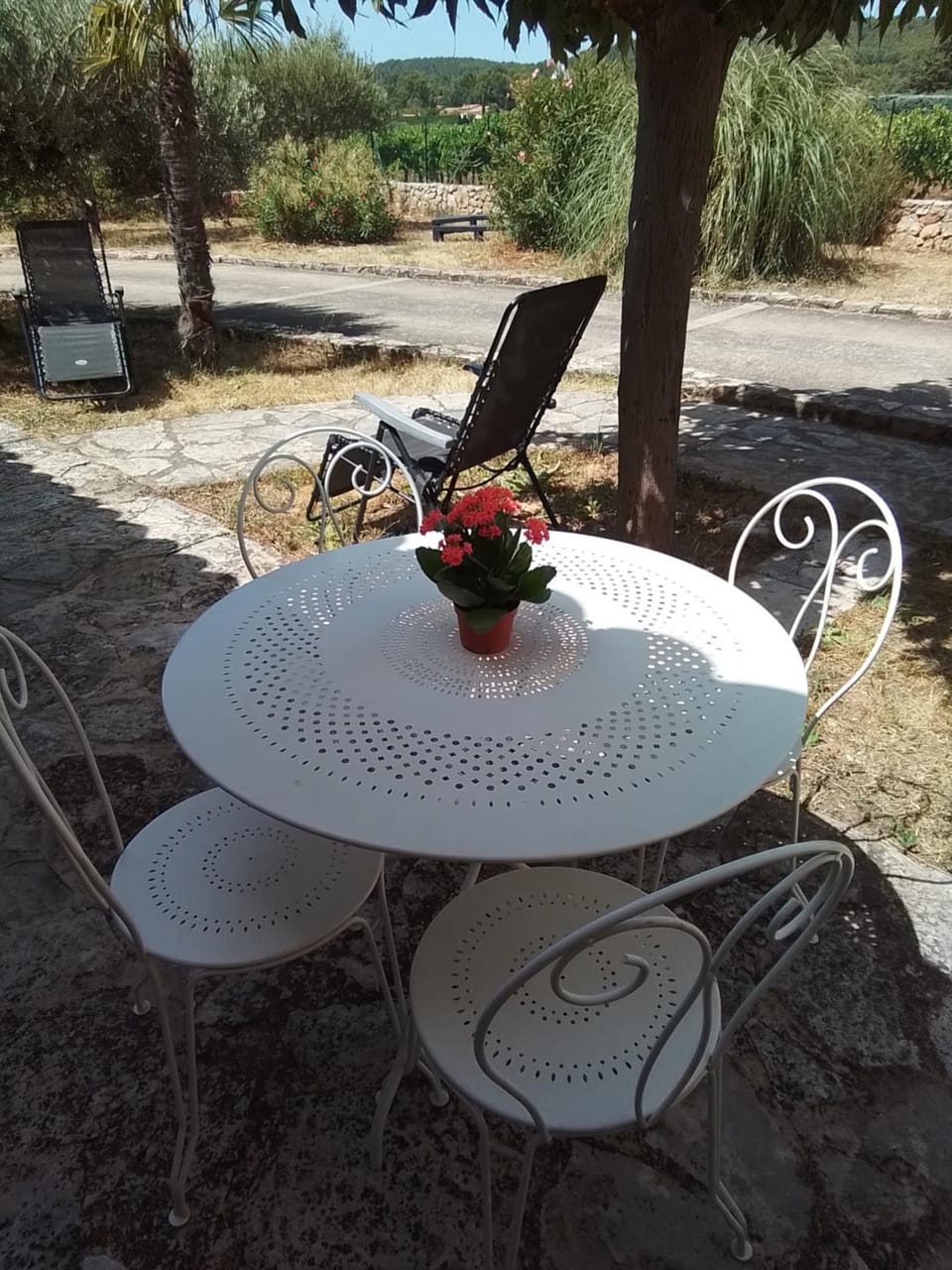 Dining area, Garden view