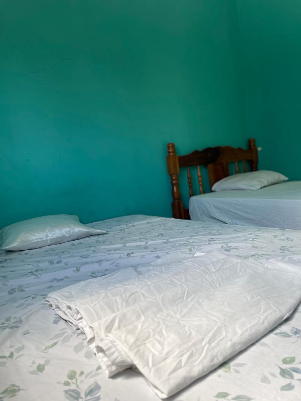 Hostal Isla Natal Bed and Breakfast in Rivas