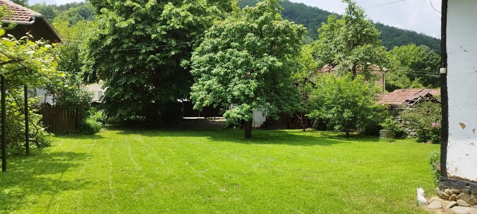 Глинената къща в Дълги Дел House in Serbia