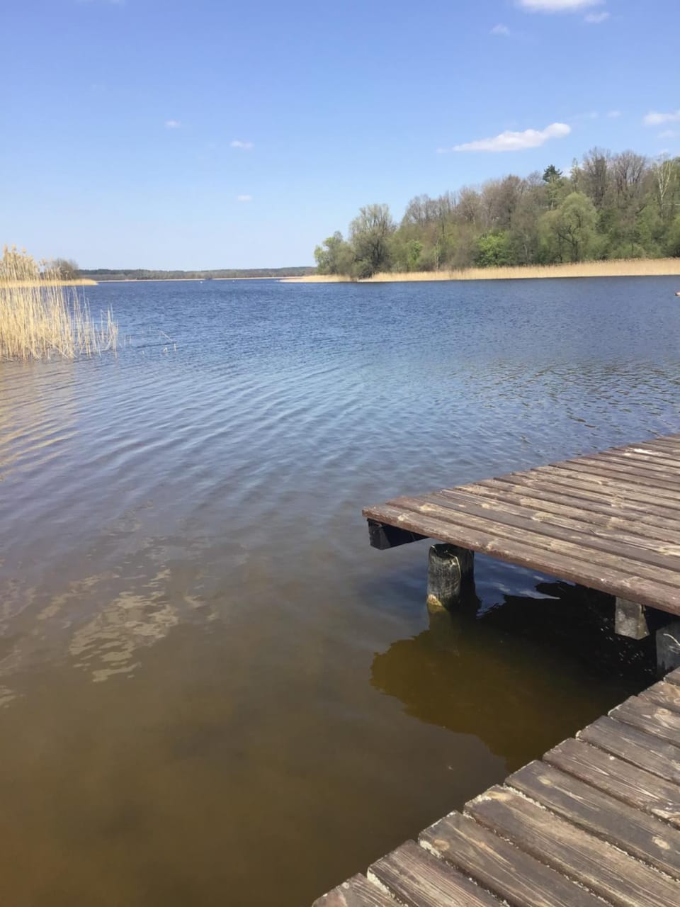 Natural landscape, Beach, Lake view