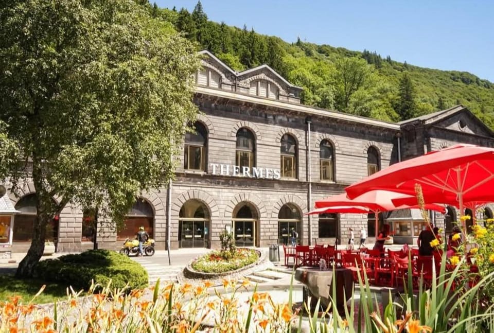 Appartement chaleureux et cosy Apartment in Auvergne-Rhône-Alpes
