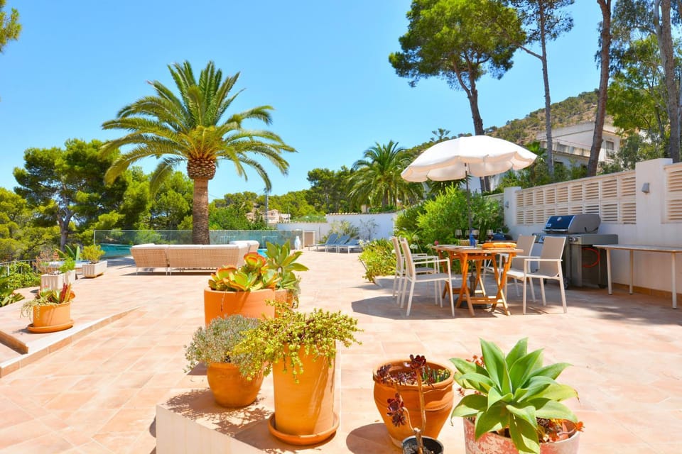 Garden, Garden, Swimming pool