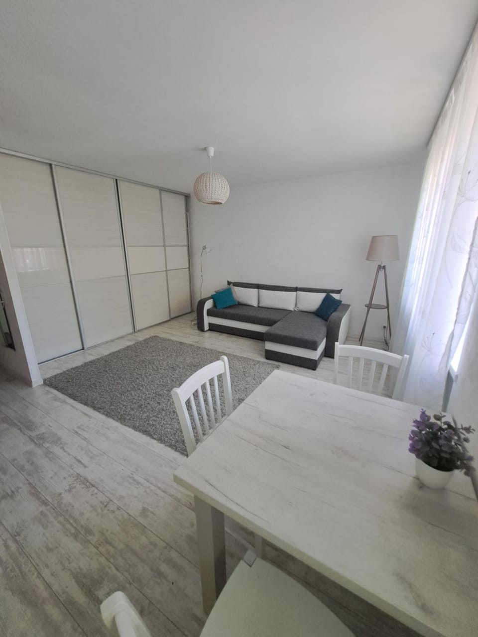 Comfort Apartment in Lithuania