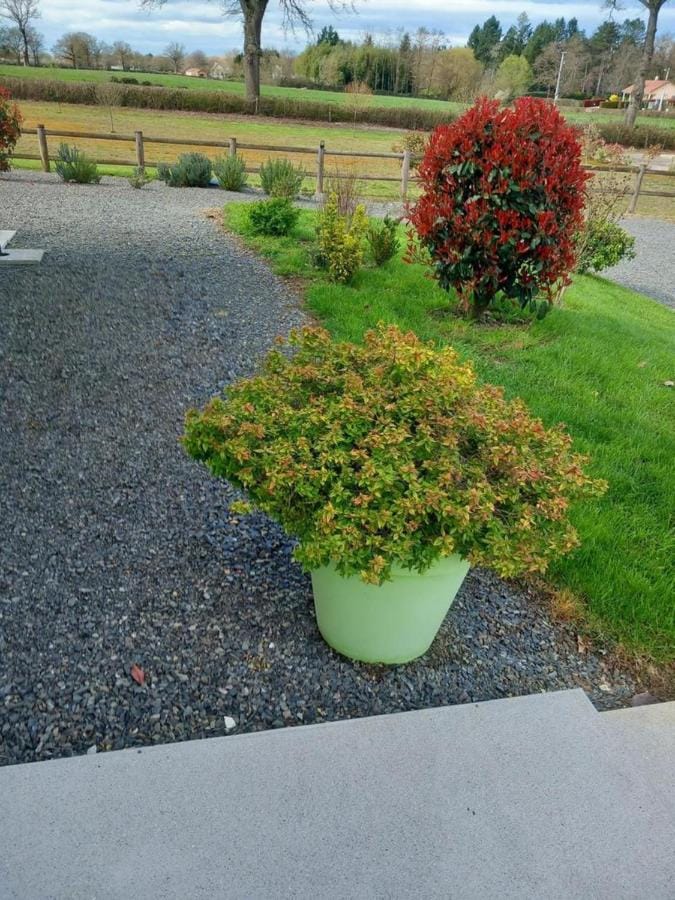 Garden, Garden, Garden view, Garden view, Parking