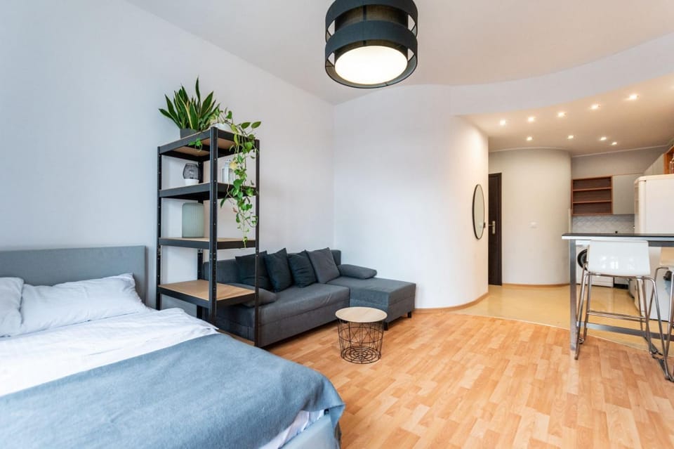 Bed, TV and multimedia, Kitchen or kitchenette, Living room