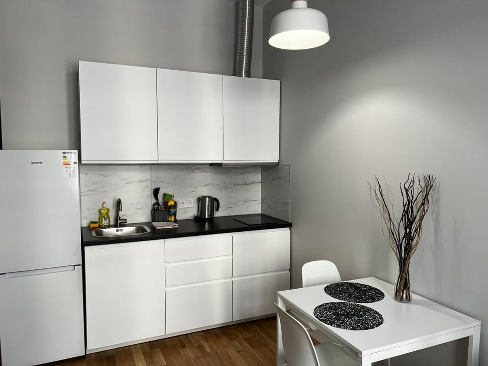 Maria Studio in Riga centre Apartment in Riga