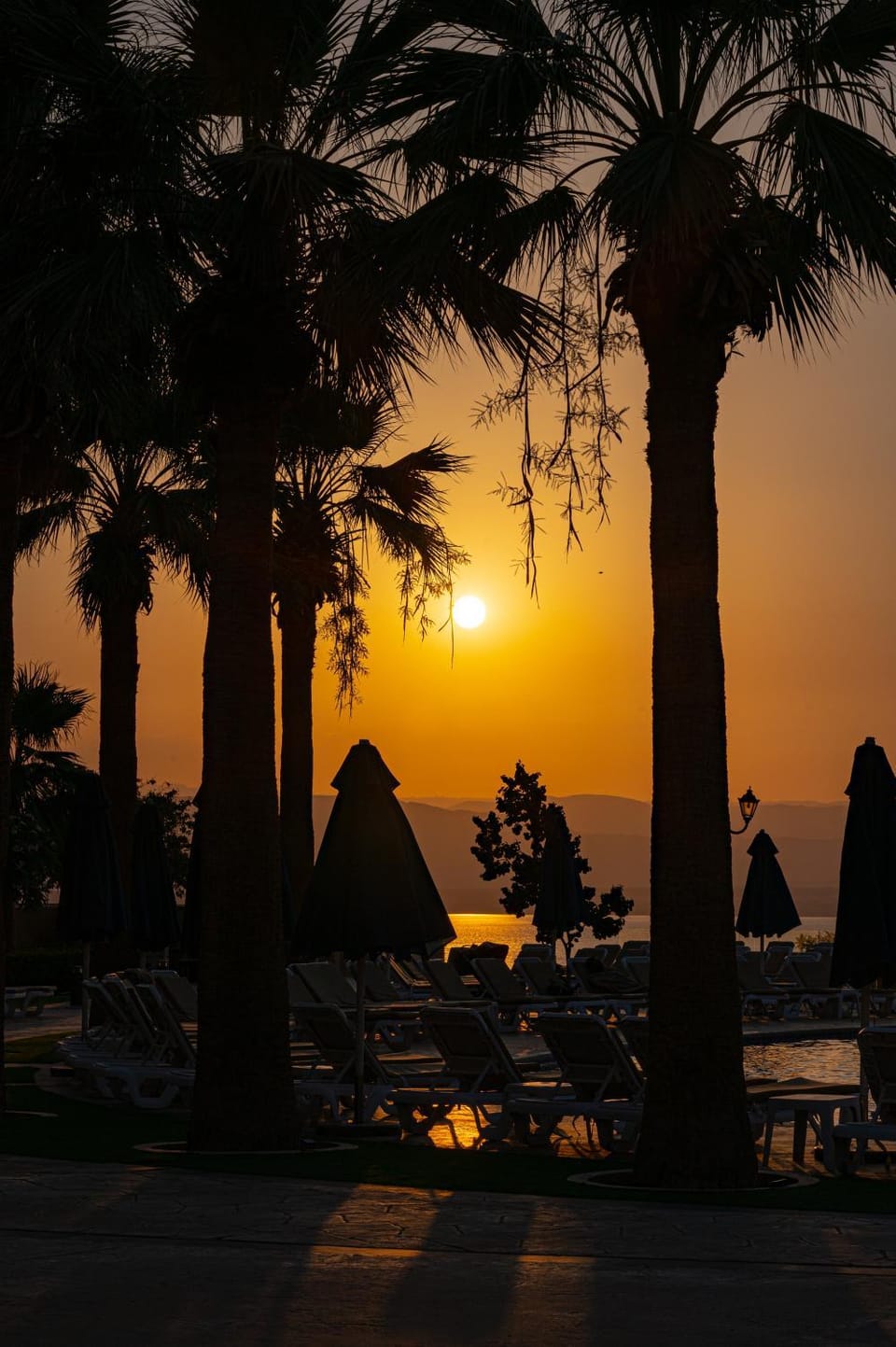 Sunset apartment in Samarah Dead Sea resort House in Africa