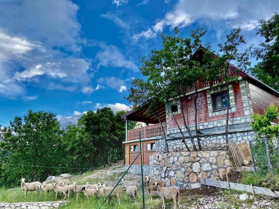 Mountain Village House House in Montenegro