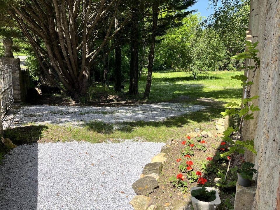 Garden view