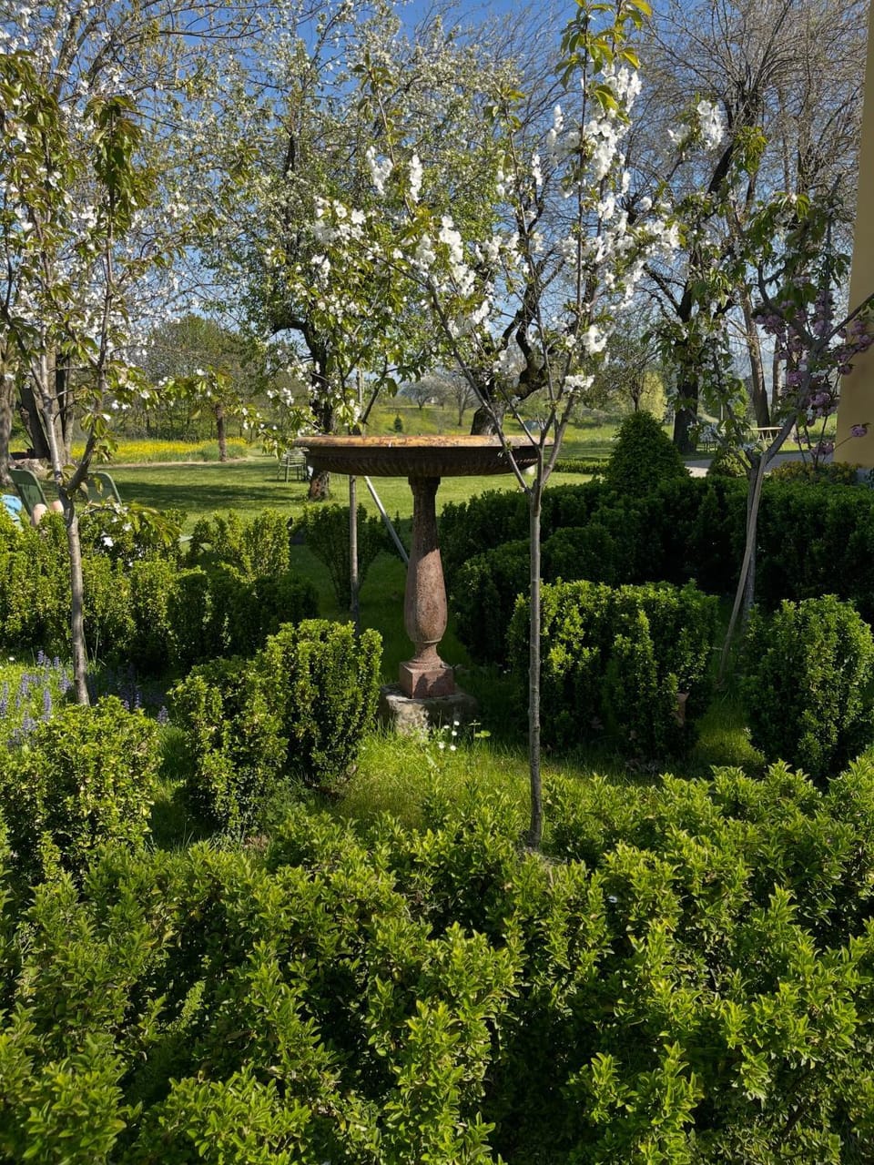 Spring, Garden