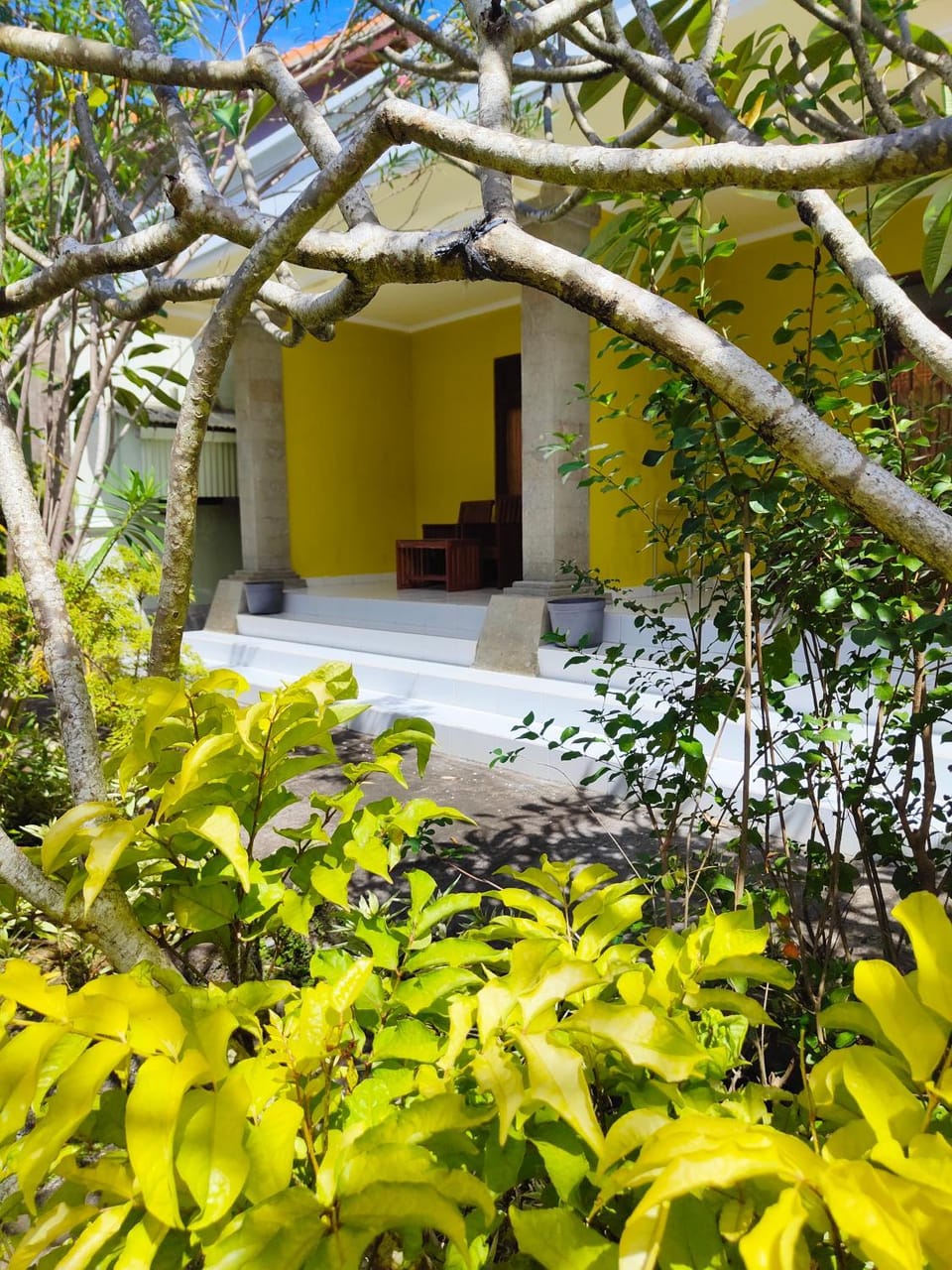 Garden view