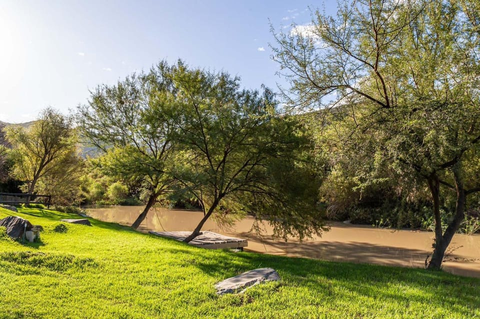 Natural landscape, Garden, Garden view, River view