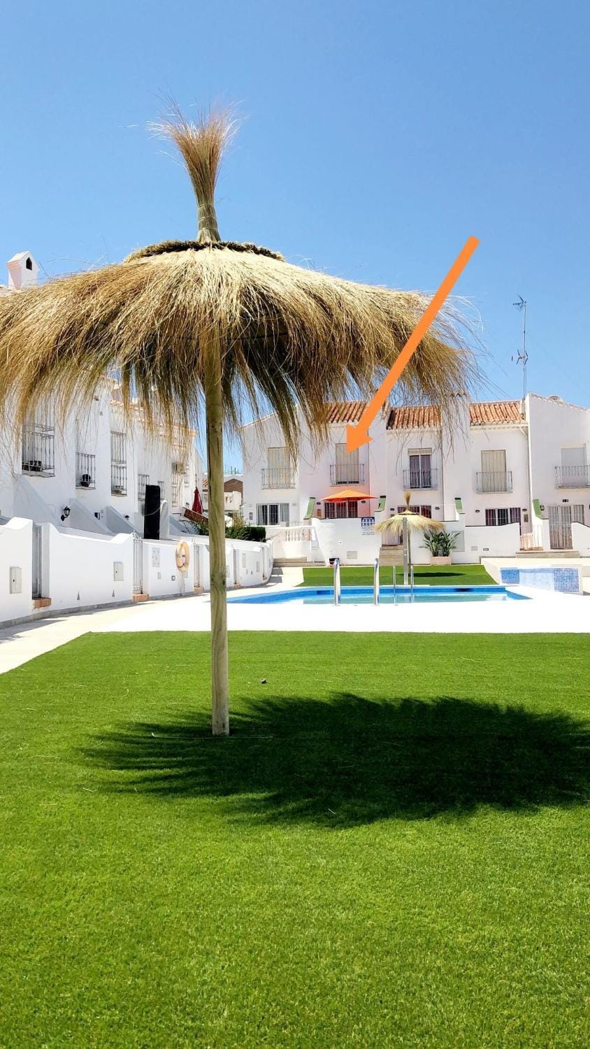 Garden, Garden view, Pool view, Swimming pool