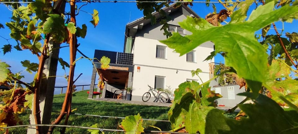 Property building, Garden, Cycling, Garden view