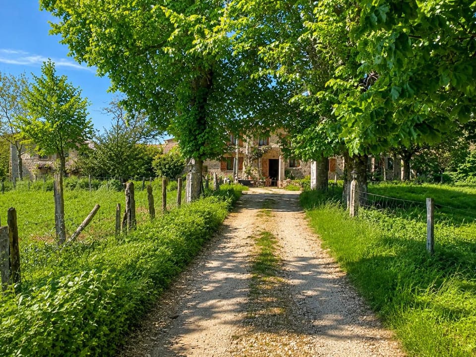 Natural landscape, Garden view